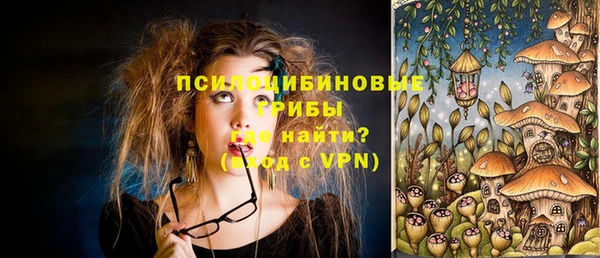 гашик Алексеевка