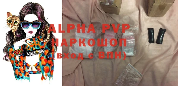 гашик Алексеевка