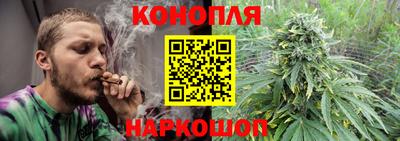 индика Владикавказ