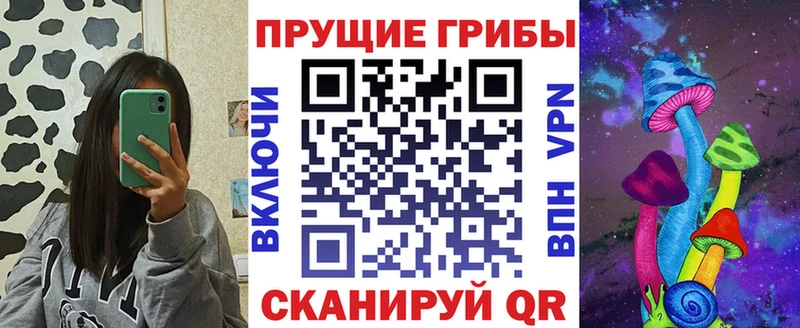 Псилоцибиновые грибы GOLDEN TEACHER сайты даркнета формула Алексеевка