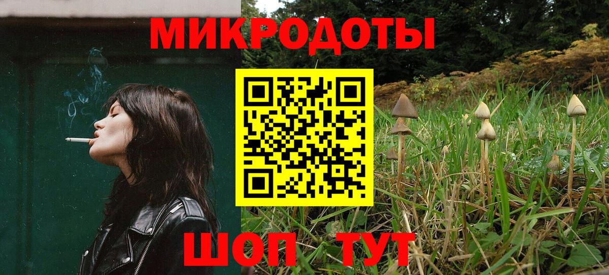 Псилоцибиновые грибы Cubensis Алексеевка