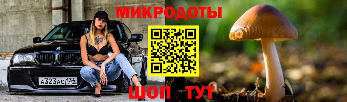 Галлюциногенные грибы Psilocybe  Вход с VPN  Псилоцибиновые грибы мухоморы  Алексеевка 
